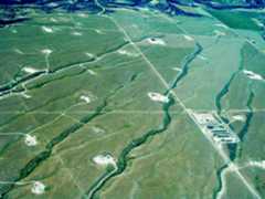Petrochemical plats