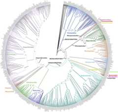 graphic file with name figure2final.jpg