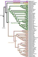 graphic file with name figure4b1.jpg