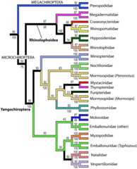 graphic file with name figure1final.jpg