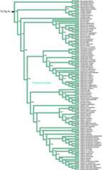 graphic file with name figure4d.jpg