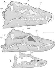 Figure 12