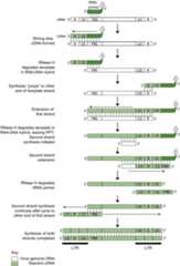 Figure 4.12