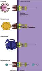 Figure 4.6