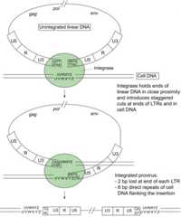 Figure 4.13