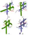 Fig 9