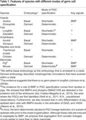 graphic file with name develop-142-113993-i1.jpg