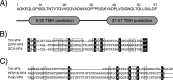 FIG 1