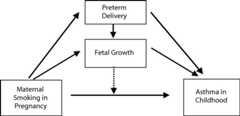 FIGURE 1—