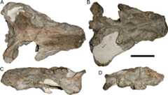 Figure 37