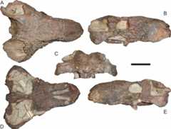 Figure 66