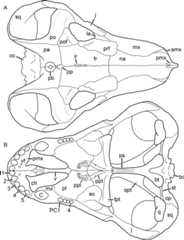 Figure 49