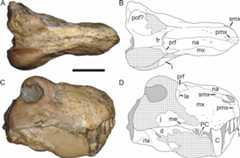 Figure 26