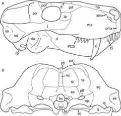 Figure 63