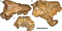 Figure 28