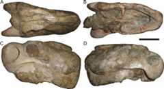 Figure 60