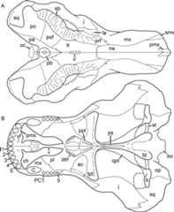 Figure 24