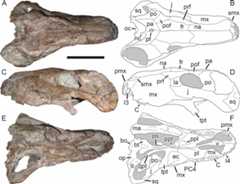Figure 64