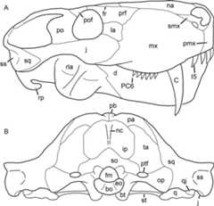 Figure 69
