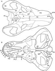 Figure 62
