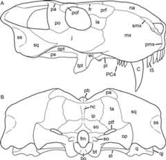 Figure 50