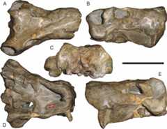 Figure 22