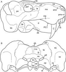 Figure 39