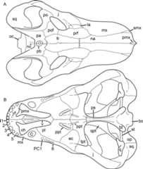 Figure 68