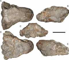 Figure 44