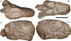 Figure 59