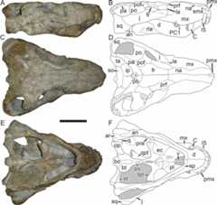 Figure 34