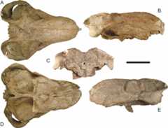 Figure 53