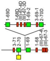 graphic file with name biomolecules-12-00381-i001.jpg