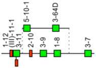 graphic file with name biomolecules-12-00381-i005.jpg