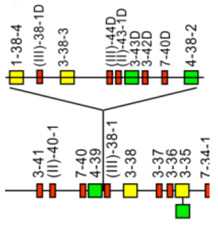 graphic file with name biomolecules-12-00381-i002.jpg