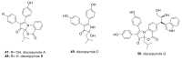 Figure 20
