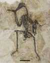 Figure 1.