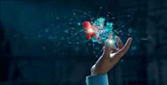 article-image-mastering-transfer-learning-fine-tuning-bert-and-vision-transformers