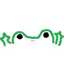 Frog16g