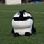 cheva