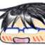 hidamaru