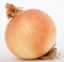 onionmarktwo