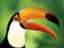 recoverhornbill recoverhornbill