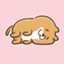 saty5