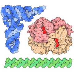 1970s_homepage-homepag