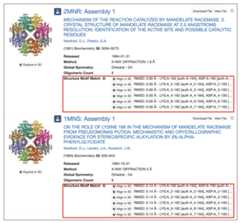 Figure 8: Structure Motif Search results with match context.