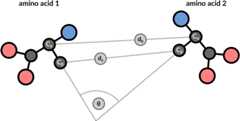 Figure 9: 3 geometric properties are used to describe residue pairs: backbone distance between Cα atoms, side-chain distance between Cβ atoms, and angle between the corresponding vectors.