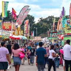people walking around a county fair