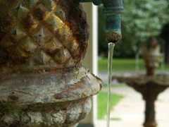 water flowing out of peerless spring