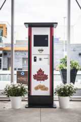 Pride of Canada Carousel, Downtown Markham